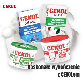 Zdjęcie / grafika obrazująca firmę / flagowy produkt, usługę (nr 2)
