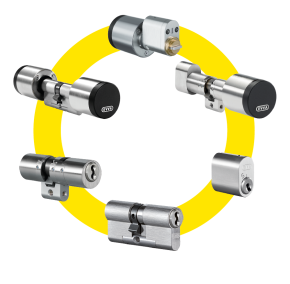 Zdjęcie / grafika obrazująca firmę / flagowy produkt, usługę (nr 1)