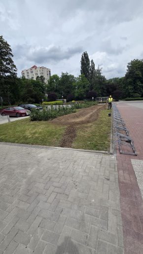 Zdjęcie / grafika obrazująca firmę / flagowy produkt, usługę (nr 3)