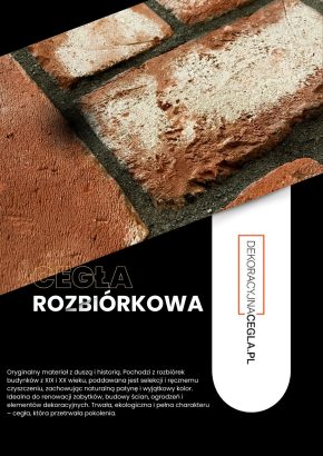 Zdjęcie / grafika obrazująca firmę / flagowy produkt, usługę (nr 1)