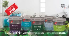 Zdjęcie / grafika obrazująca firmę / flagowy produkt, usługę (nr 3)